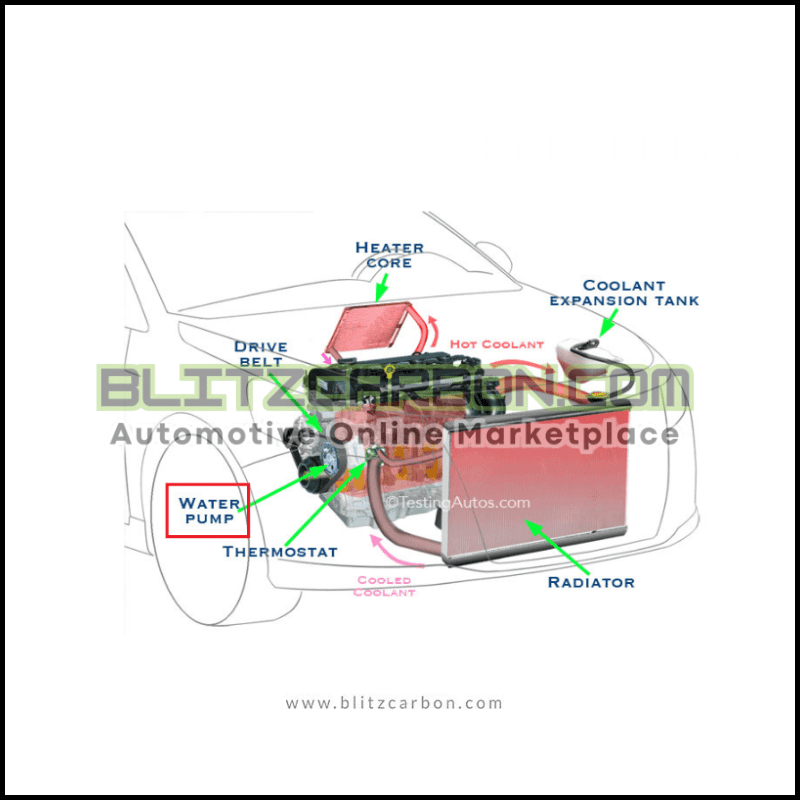 Ford Ranger Water Pump(5)