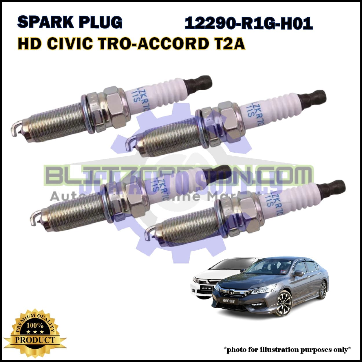 12290-R1G-H01 B2