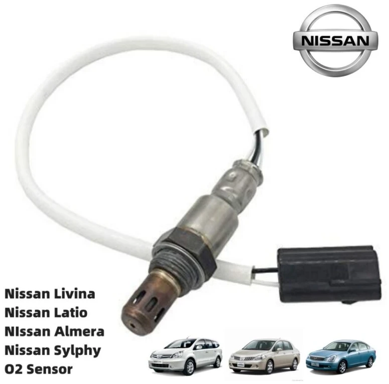 https://blitzcarbon.com/wp-content/uploads/2026/03/69afe4a69fece_1773135014-1.webp