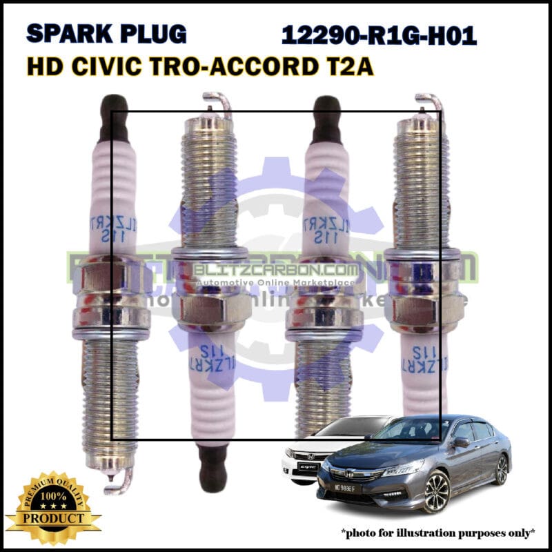 12290-R1G-H01 B1