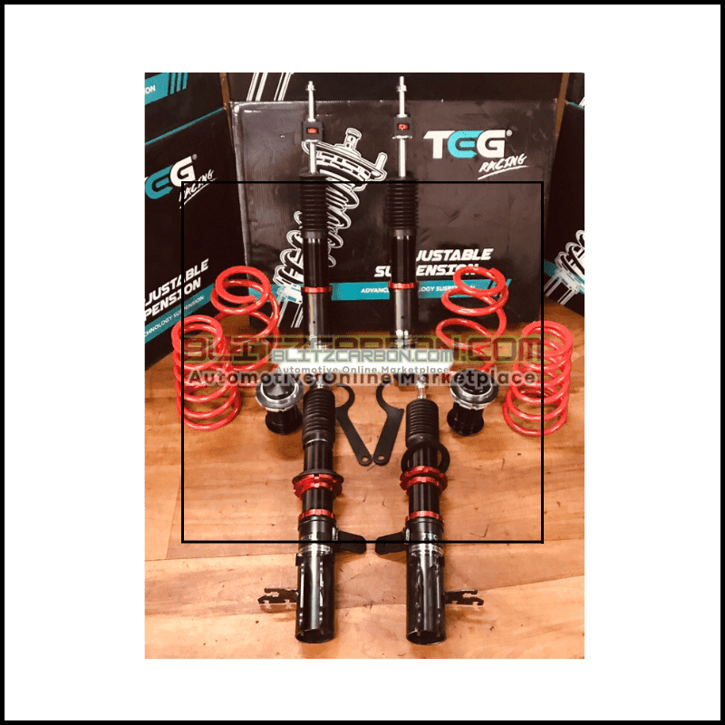 PROTON BLM FLX SAGA VVT 18 25 HI LOW SOFT HARD BODY SHIFT MONOTUBE 30 STEP TEG RACING ADJUSTABLE SUSPENSION